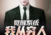 觉醒系统:我从穷人变富豪小说的最新章节在哪里更新?免费追踪阅读-艾米文学
