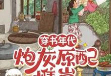 《穿书年代,炮灰原配携崽随军去啦》安婳肖政小说免费阅读完整版-艾米文学