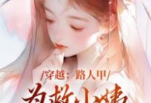 穿越:路人甲为救小姨翻身变女主小说,穿越:路人甲为救小姨翻身变女主在线阅读-艾米文学