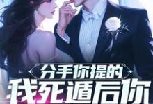 分手你提的,我死遁后你哭什么?(驰骋)完整版在线免费阅读-艾米文学
