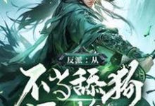 反派:从不当舔狗开始苏辰林云梦,反派:从不当舔狗开始在线无弹窗阅读-艾米文学