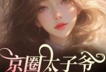 小说《京圈太子爷别宠了,她该上天了!》章节免费阅读-艾米文学