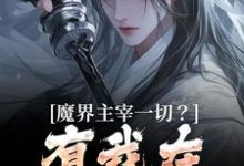 魔界主宰一切？有我在谁敢造次诺特伊莎瑞尔小说完结版章节在线阅读-艾米文学
