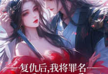 复仇后,我将罪名嫁祸给漓王小说的最新章节在哪里更新?免费追踪阅读-艾米文学