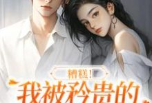 糟糕!我被矜贵的大小姐缠上了这本小说在哪里可以看?哪里有免费试读章节?-艾米文学