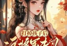 已完结小说《打掉孩子后这将军夫人谁爱当谁当》章节在线阅读-艾米文学