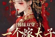 姊妹双穿:一个嫁太子一个嫁战神免费阅读,姊妹双穿:一个嫁太子一个嫁战神叶轻轻-艾米文学