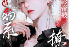 穿成钓系小甜O,清冷影帝被撩疯苏辞林景琛,穿成钓系小甜O,清冷影帝被撩疯在线无弹窗阅读-艾米文学