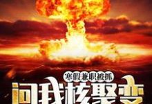 小说《寒假兼职被抓,问我核聚变能造吗?》章节免费阅读-艾米文学