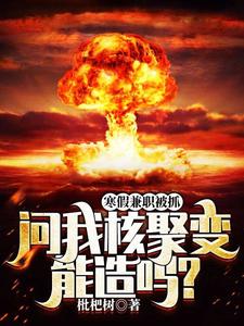 小说《寒假兼职被抓，问我核聚变能造吗？》章节免费阅读
