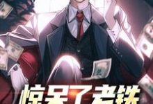 已完结小说《惊呆了老铁，他又被提拔了》在线章节阅读-艾米文学