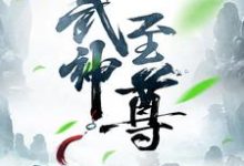 免费看武神至尊小说的网站有哪些？-艾米文学