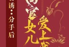 官诱：分手后，高官女儿爱上我小说全文哪里可以免费看？-艾米文学