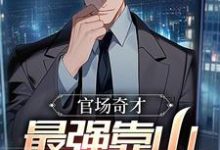 李霖小说《官场奇才：最强靠山竟是我自己》在线阅读-艾米文学