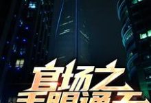 官场之手眼通天小说无弹窗阅读的网站推荐-艾米文学