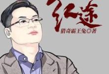 官运:从遇到她开始小说阅读,官运:从遇到她开始完结版-艾米文学