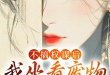已完结小说《不搞权谋后，我坐看废物儿女作死》章节在线阅读-艾米文学