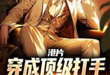 小说《港片:穿成顶级打手,爆兵称霸港岛》章节免费阅读-艾米文学