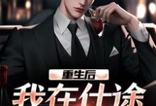 重生后,我在仕途一路狂飙免费阅读,重生后,我在仕途一路狂飙章节在线阅读-艾米文学