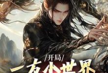 已完结小说《开局一方小世界,我靠系统逆袭》章节在线阅读-艾米文学