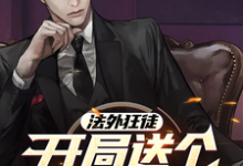 在线寻找法外狂徒,开局送个敲槌的进去小说的无删减版本-艾米文学