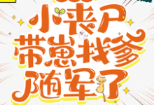 叶汀兰江岸小说穿七零，小丧尸带崽找爹随军了在线阅读章节-艾米文学