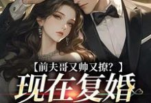 求推荐可以免费阅读前夫哥又帅又撩？现在复婚来得及吗小说的网站-艾米文学