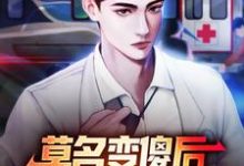 小说《莫名变傻后，我成了乡村团宠》完整版在线章节免费阅读-艾米文学