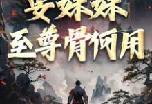 完整版的系统在手！要妹妹至尊骨何用小说在哪里可以免费读到？-艾米文学