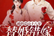 完结版《被扔荒山十八年,替婚错嫁大首长》免费阅读-艾米文学