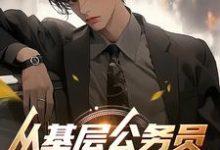 求从基层公务员开始奋起小说的全文免费阅读链接-艾米文学