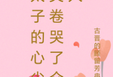 凤芸曦夜羽墨小说免费阅读完整版-艾米文学