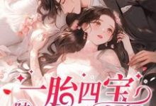 在线寻找一胎四宝,陆总用力过猛小说的无删减版本-艾米文学