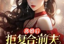 离婚后拒复合：前夫儿子悔断肠沈寒星小说完结版章节在线阅读-艾米文学