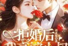 免费在线阅读拒婚后我高嫁小叔，太子爷你哭什么？小说的正规网站有哪些？-艾米文学