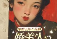 军婚五年不见面,娇美人带娃随军完整版小说免费阅读,军婚五年不见面,娇美人带娃随军小说-艾米文学