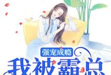 哪里能找到强宠成瘾,我被霸总圈进怀小说的最新更新和免费章节?-艾米文学