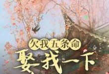 玉沁宋祁小说完结版在线阅读,欠我五条命,娶我一下怎么了?免费看-艾米文学