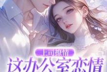 完整版小说《上司撩情,这办公室恋情我谈定了》免费阅读-艾米文学
