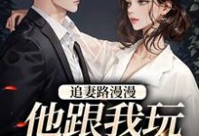 追妻路漫漫，他跟我玩攻心计小说有没有完结版在线？-艾米文学