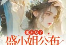 来不及了,盛小姐公布婚讯了盛栀意小说在线章节免费阅读-艾米文学
