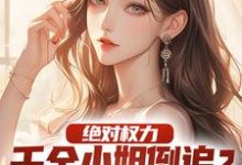 在线寻找绝对权力：千金小姐倒追？没戏！小说的无删减版本-艾米文学
