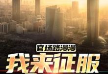 官场路漫漫,我来征服全世界小说全文哪里可以免费看?-艾米文学