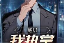 底层：我执掌晋升奥秘免费阅读，底层：我执掌晋升奥秘张诚-艾米文学