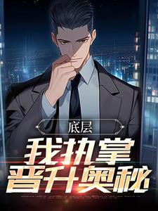 底层：我执掌晋升奥秘免费阅读，底层：我执掌晋升奥秘张诚