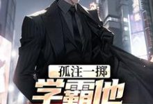 完结版《孤注一掷：学霸他官运亨通》章节目录在线阅读-艾米文学