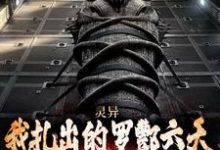 小说《灵异:我扎出的罗酆六天能安顿枉魂》在线章节阅读-艾米文学
