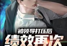 被领导打压后,绩效再次被清零!这本小说完结了吗?免费查看最新章节-艾米文学