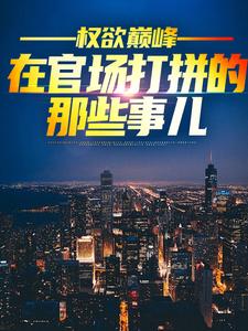 完整版《权欲巅峰：在官场打拼的那些事儿》小说免费阅读