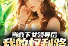 完结版《当救下女领导后，我的权利路稳了！》章节目录在线阅读-艾米文学
